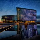 Harpa