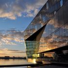 Harpa