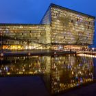 Harpa Reykjavik by night