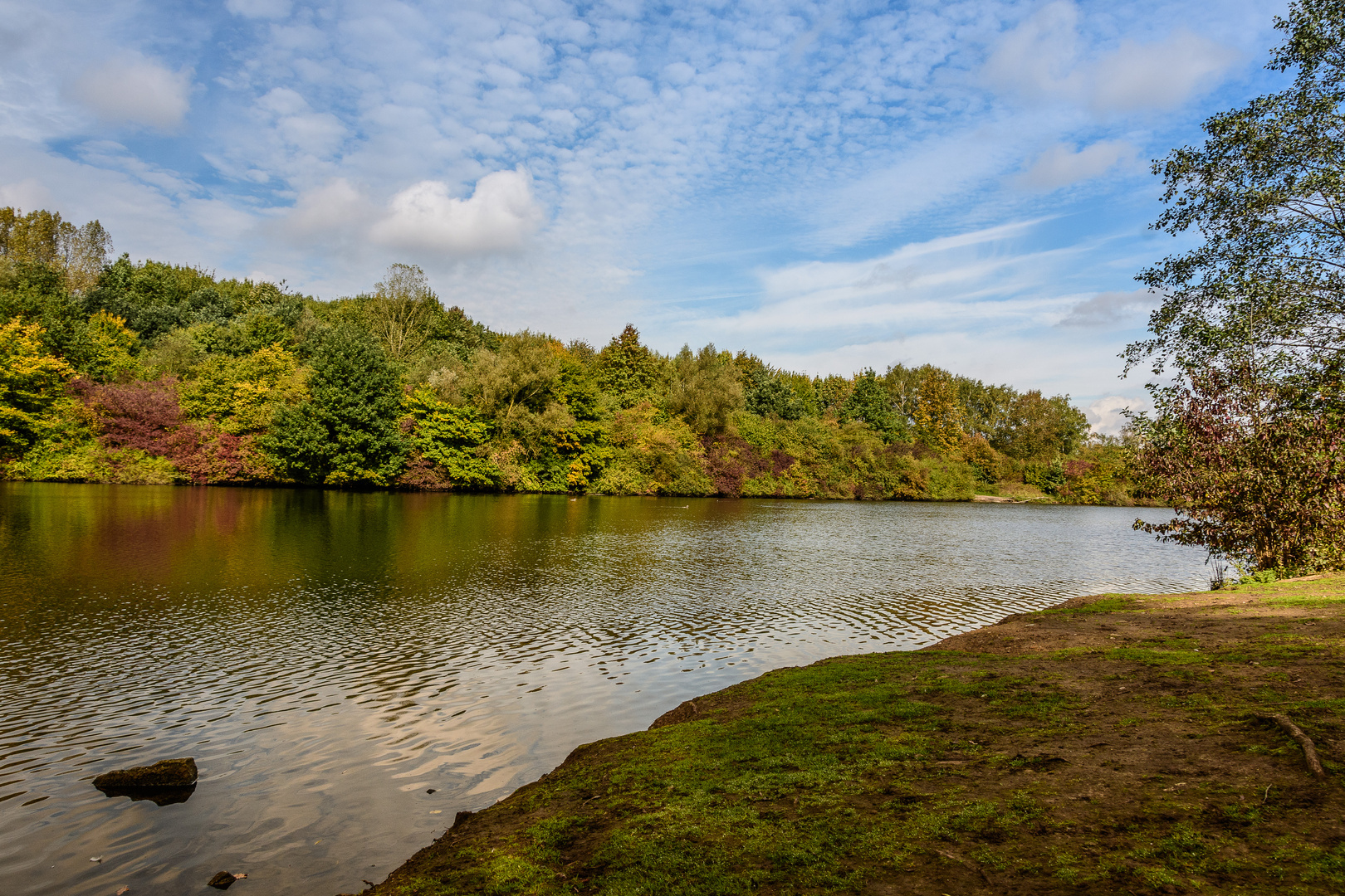 Harpener Teiche Foto & Bild landschaft, lebensräume, bach, fluss