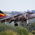 Harrier