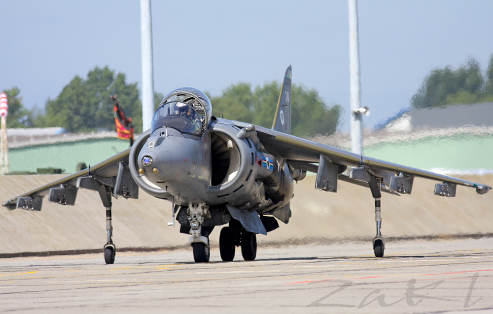 Harrier