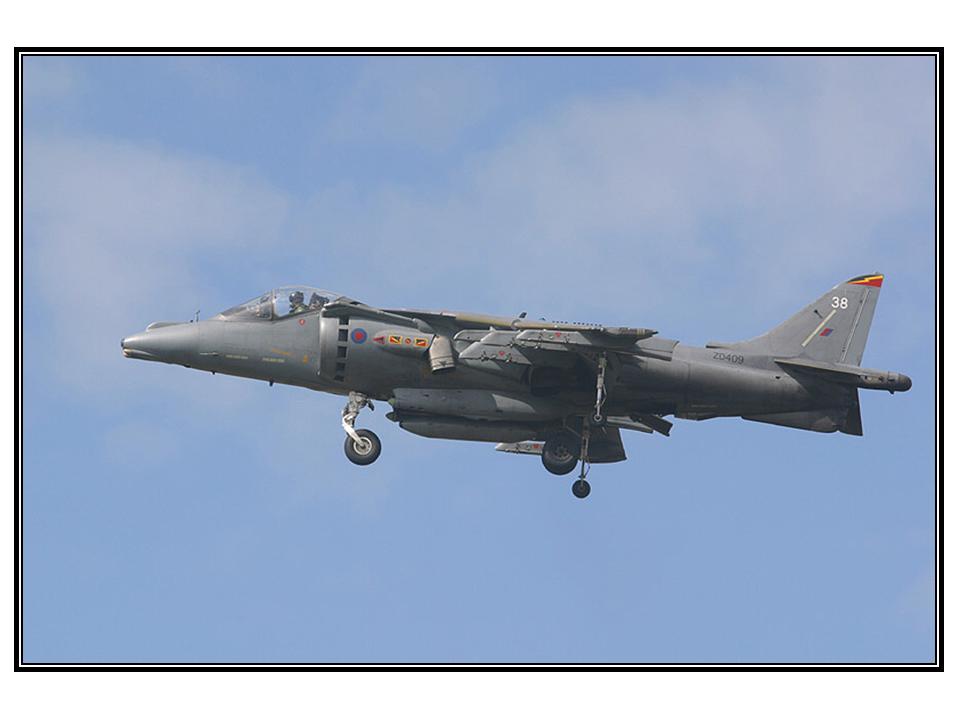 >Harrier