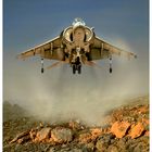 Harrier Hover