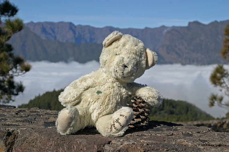 Harro an der Caldera de Taburiente