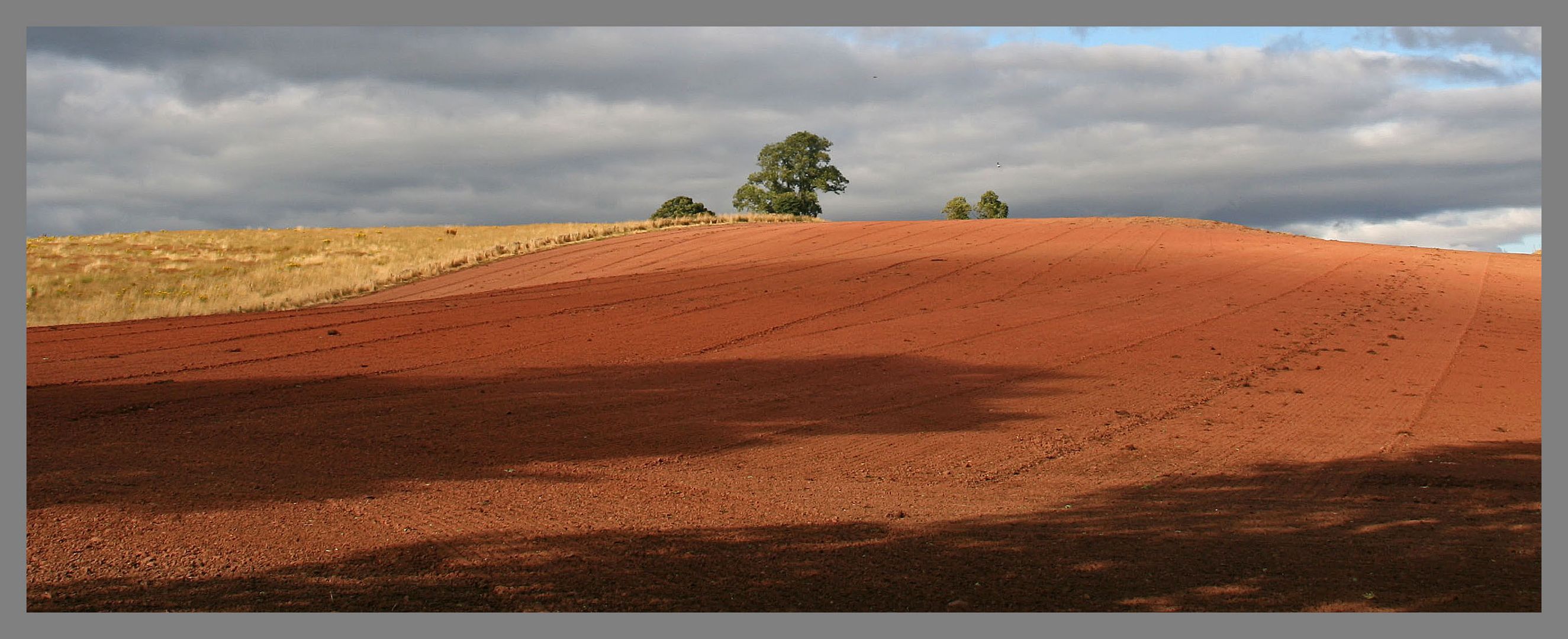 harrowed field near Dryburgh 12Ab