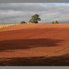 harrowed field near Dryburgh 12Ab