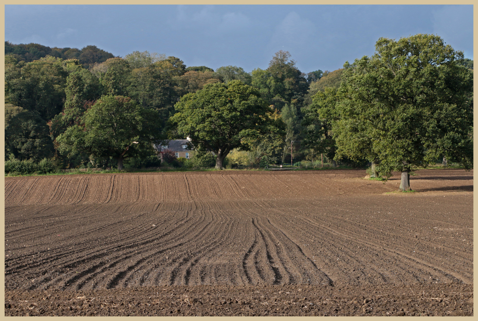 harrowed field near warden