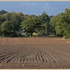 harrowed field near warden