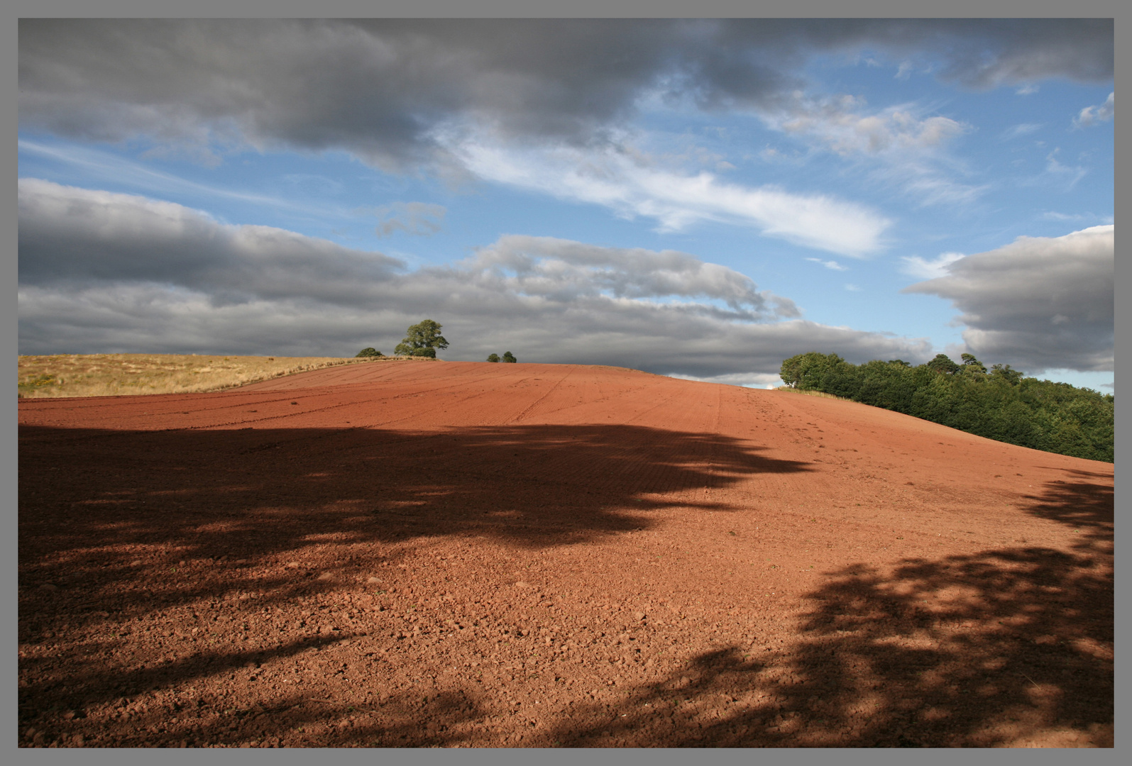 harrowed field of pink redstone soil near Dryburgh Scotland