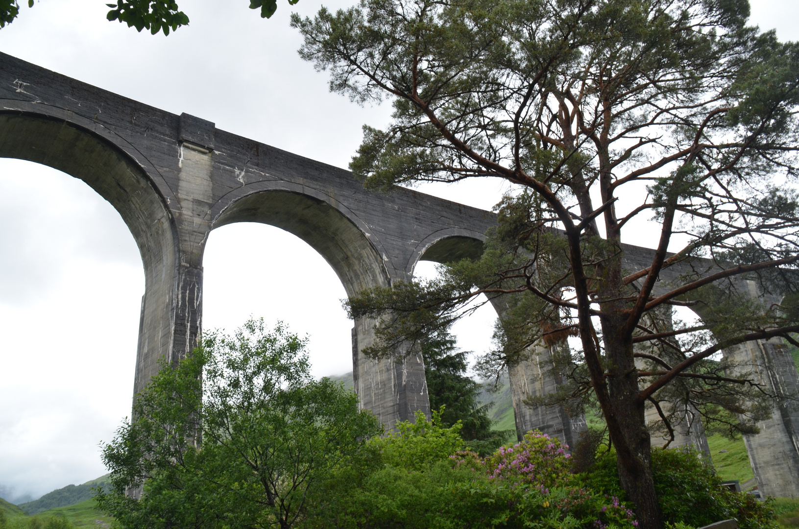 Harry Potter Brücke /Glenfinnan-Viadukt