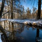 Harsefelder Auetal im Winterspiegel