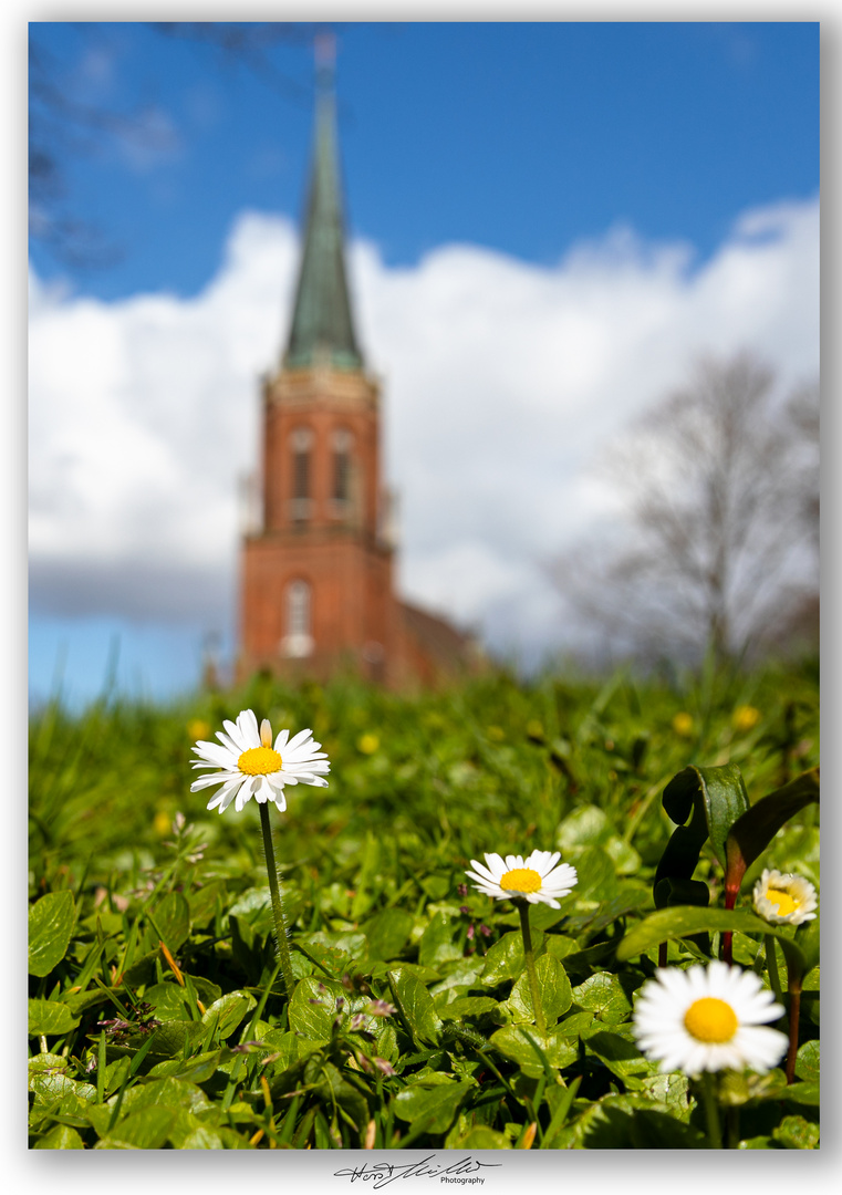 Harsefelder Frühling