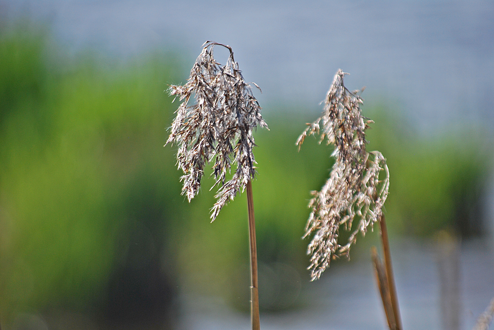 Hart am Wind ...