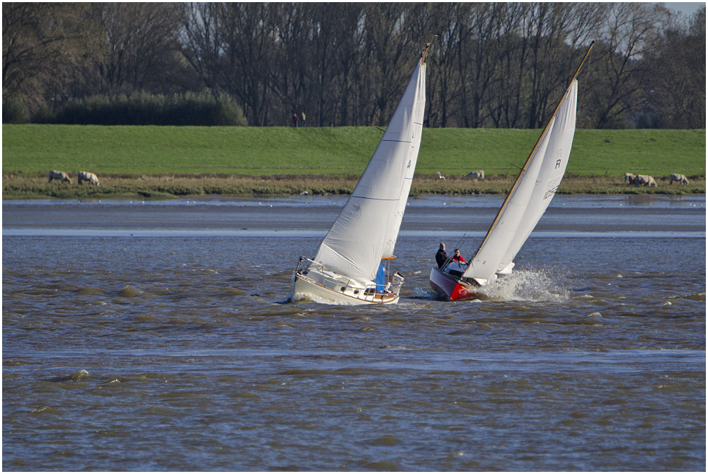  "Hart am Wind!" (3)