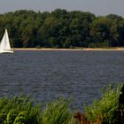 Hart am Wind auf der Elbe an einem wunderbaren Segeltag