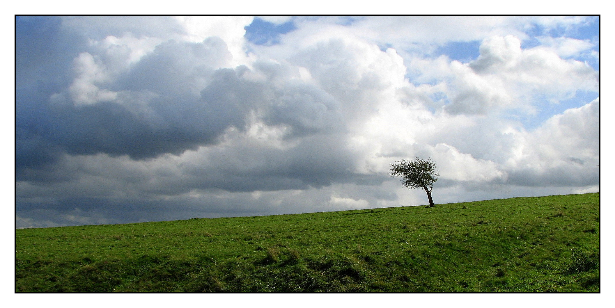 Hart am Wind