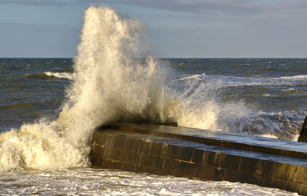 Hart im Wind