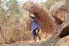 harte Frauenarbeit am heiligen Berg Arunachala