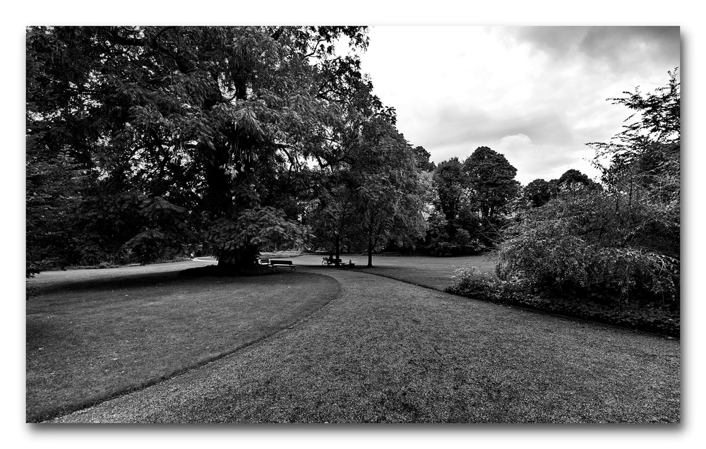 harte Kontraste im Park