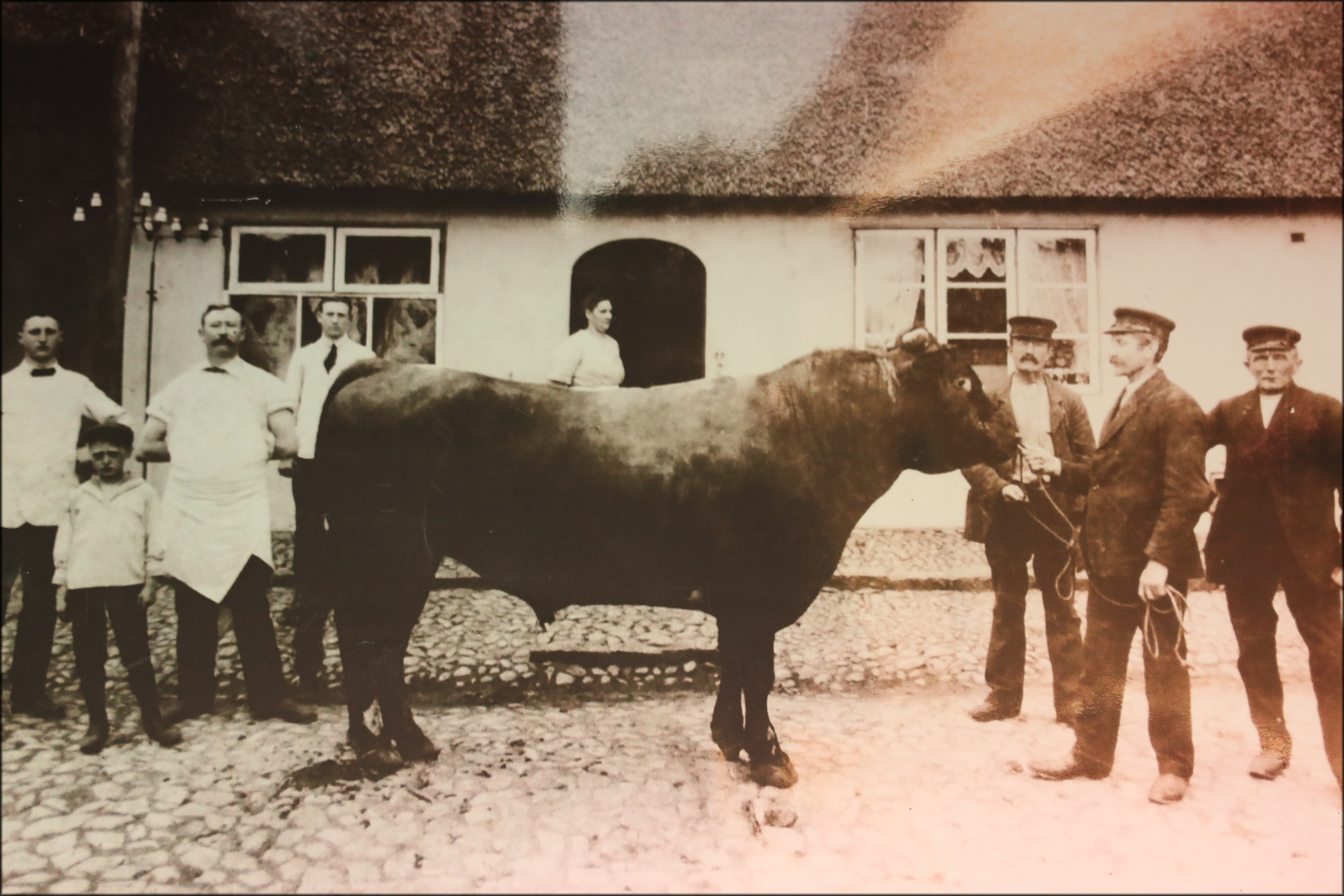 Harte Zeiten Foto &amp; Bild | szene, bulle, motive Bilder auf fotocommunity