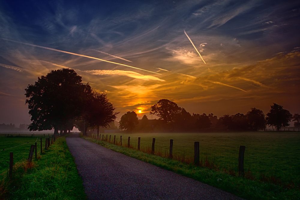 Hartefeld am frühe Morgen