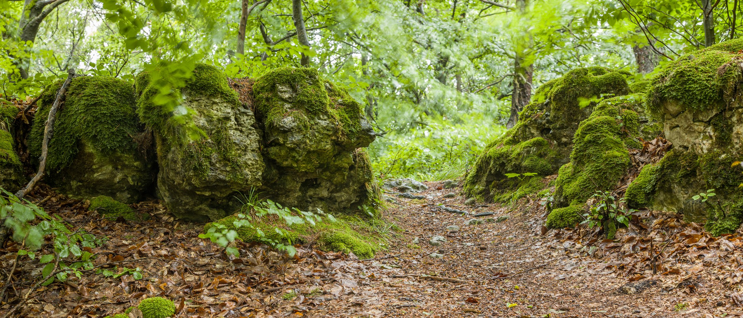 Hartenstein - Auf den Hirtenberg