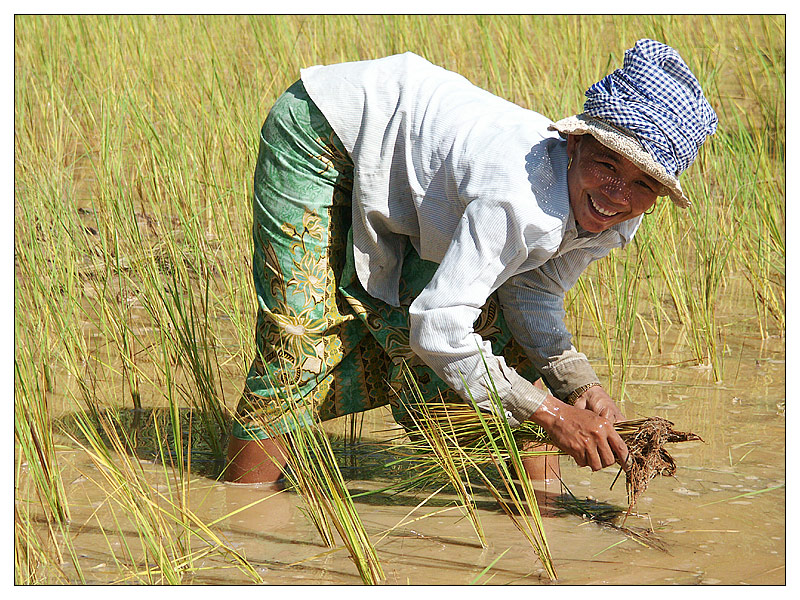 Harter Alltag - Siem Reap, Kambodscha