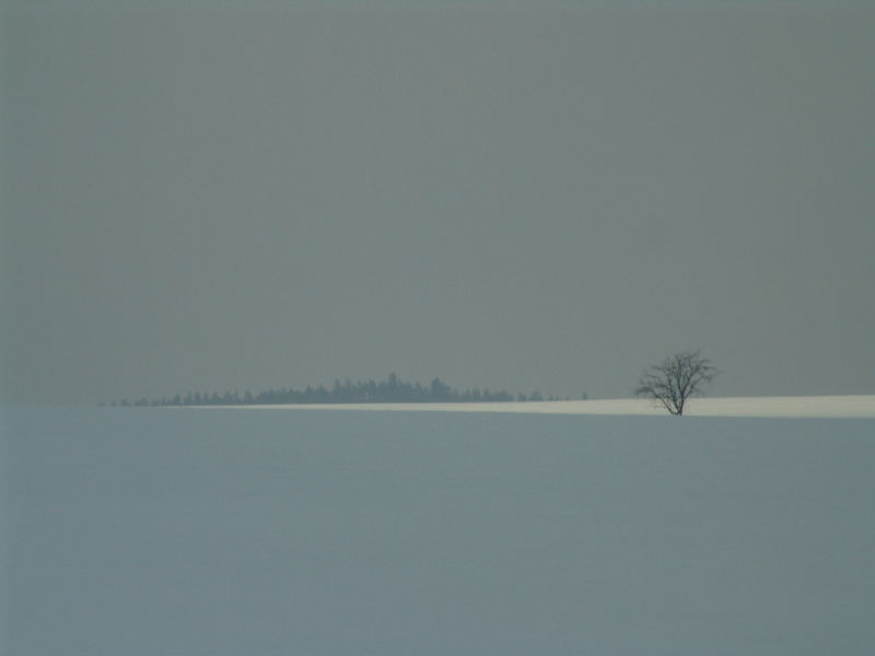 harter sonnenreflex in waldviertler winterlandschaft (unbrbtt)