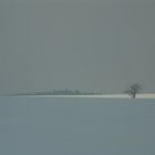 harter sonnenreflex in waldviertler winterlandschaft (unbrbtt)