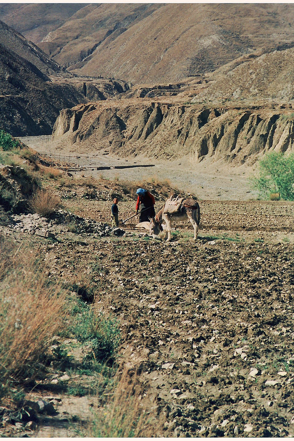 Hartes Brot irgendwo vor Shigatse Tibet