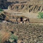 Hartes Brot irgendwo vor Shigatse Tibet