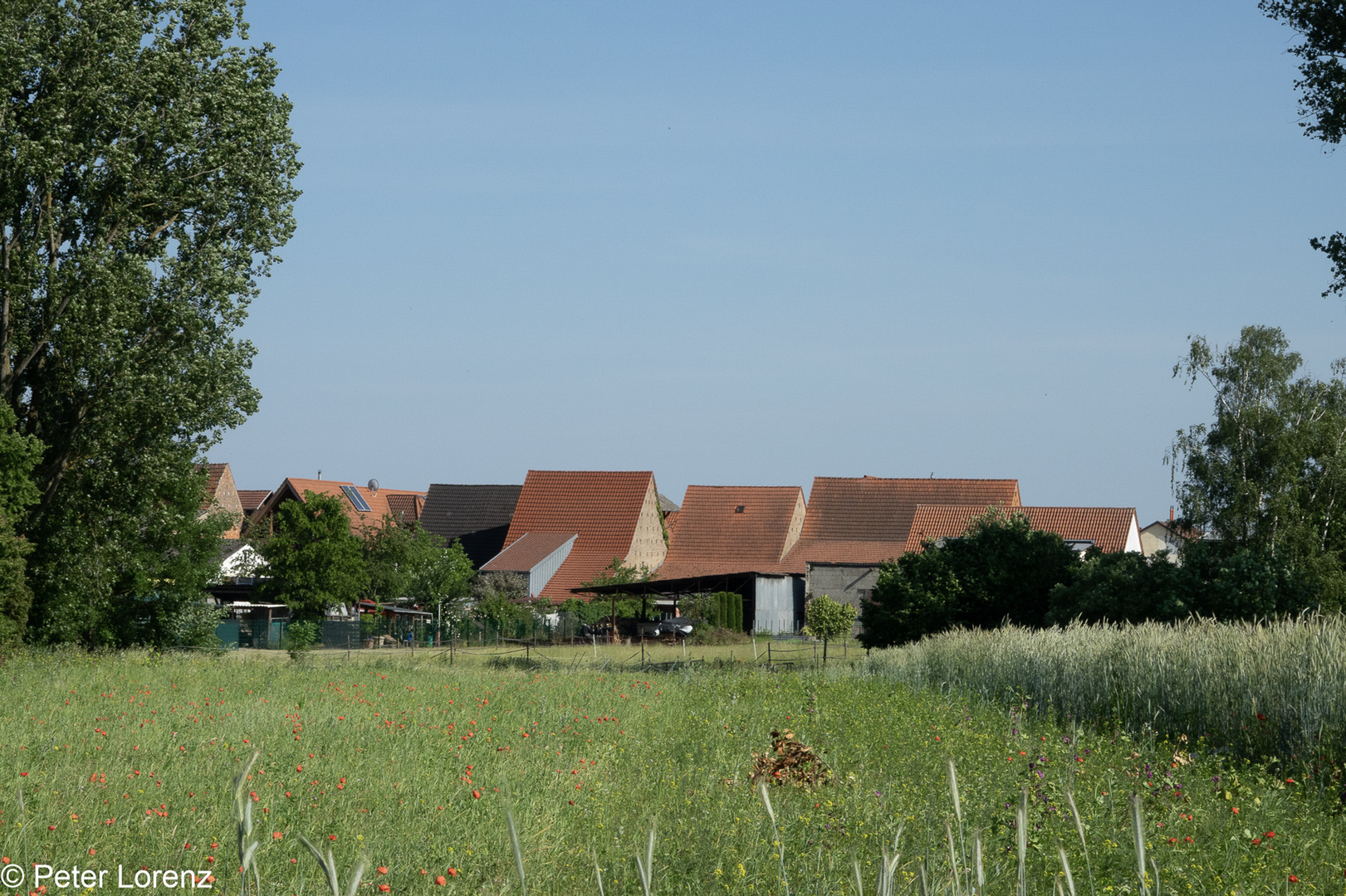 Harthausen