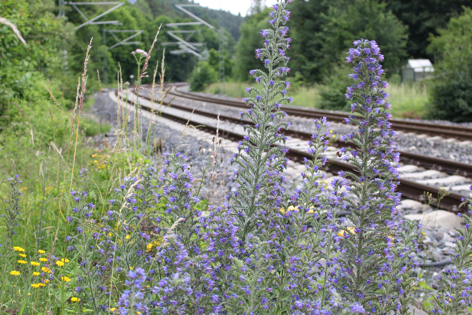 Hartmannshof, Gleise, Eisenbahn