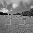 Hartmannswillerkopf