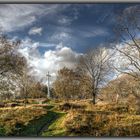 Hartmannswillerkopf