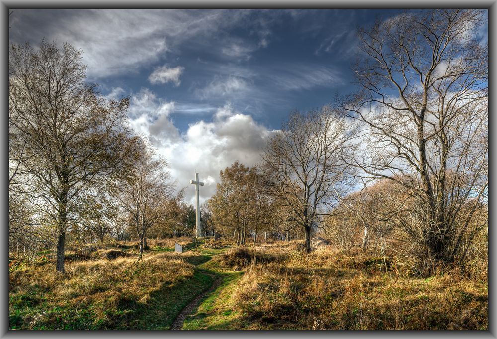 Hartmannswillerkopf