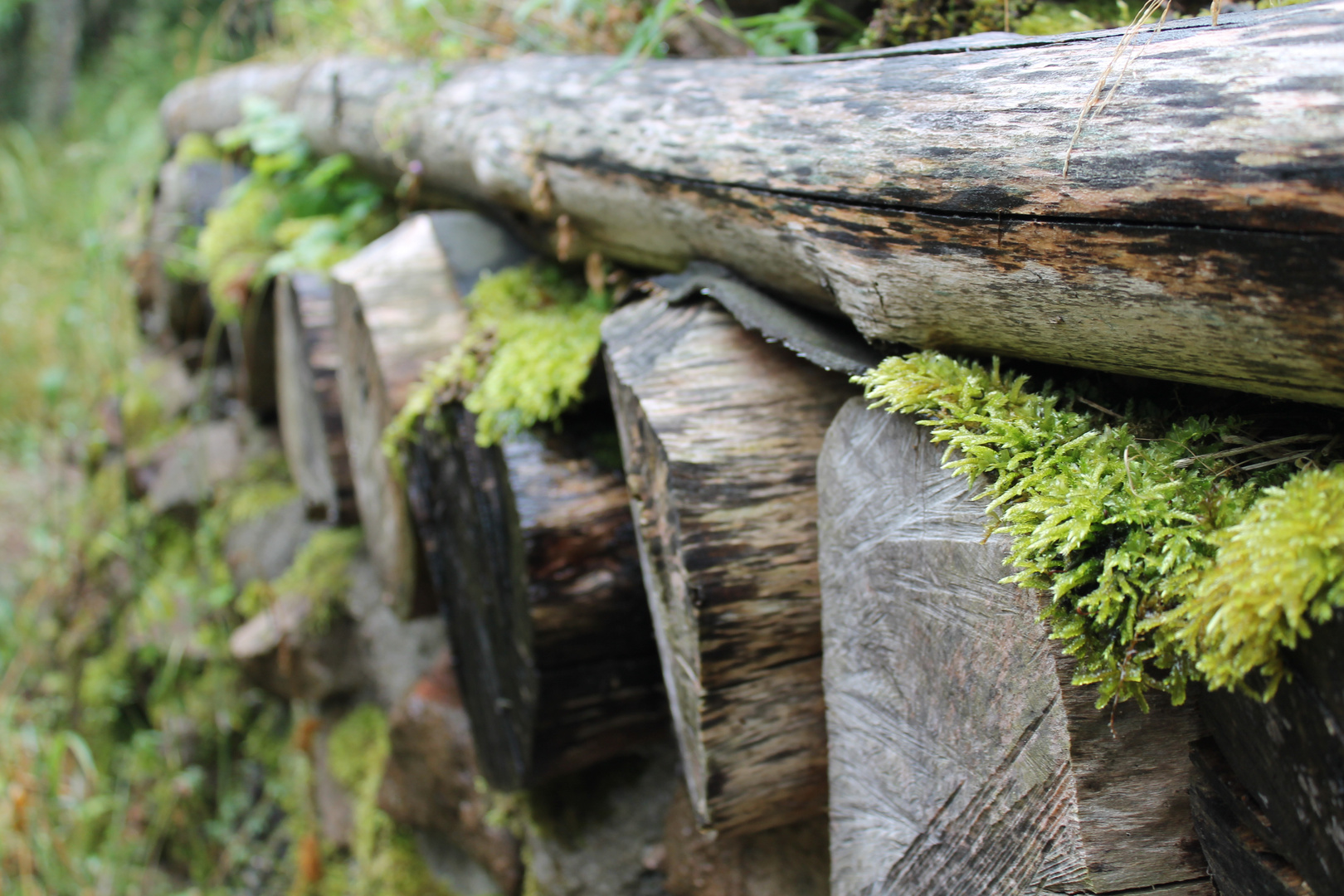 Hartmannswillerkopf