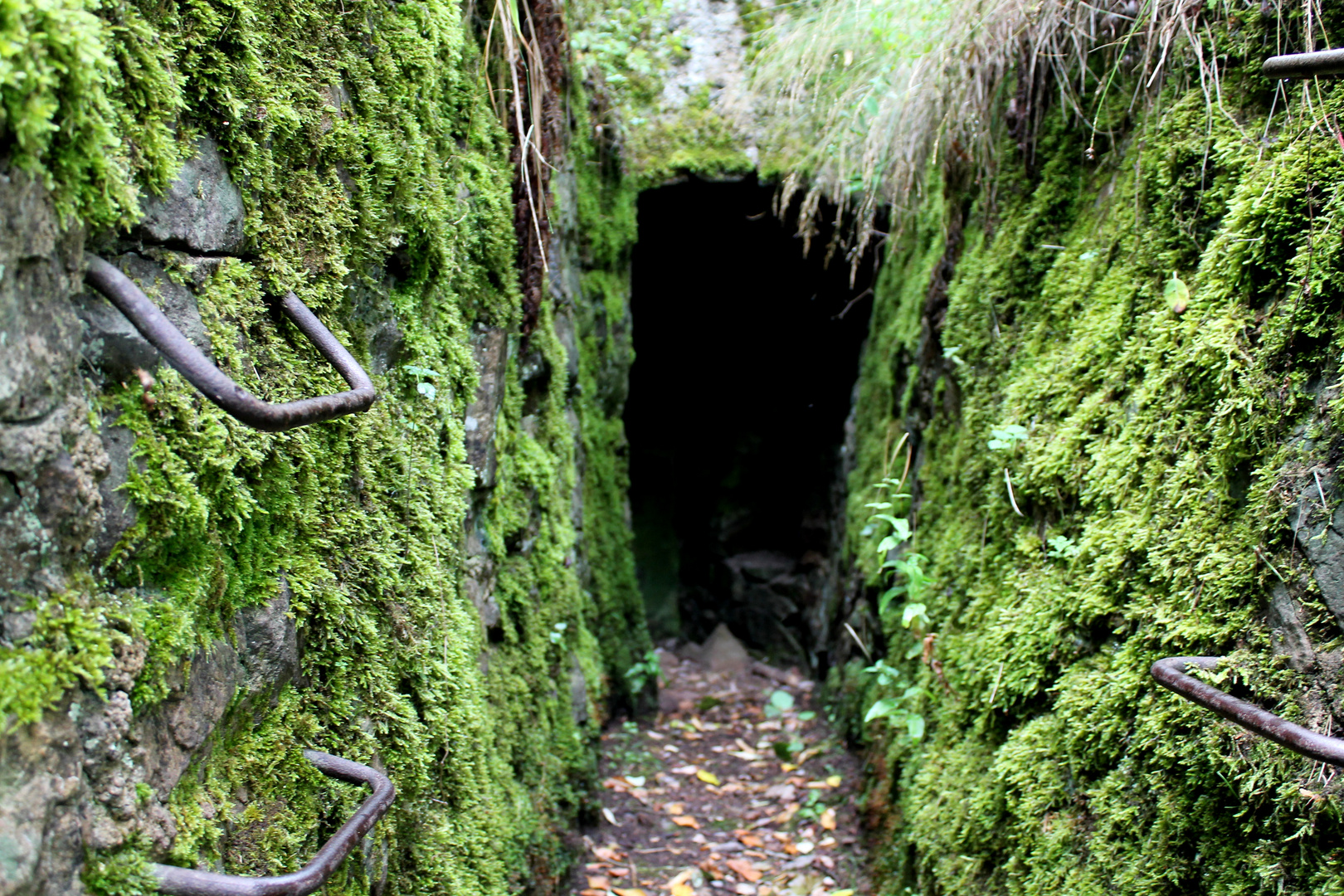 Hartmannswillerkopf Schützengraben/gang