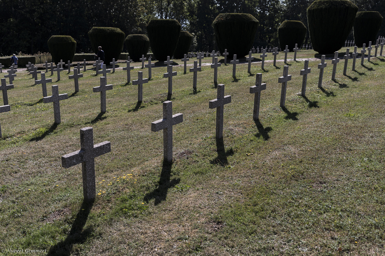 Hartmannswillerkopf_14