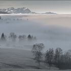 hartnäckiger hochnebel…