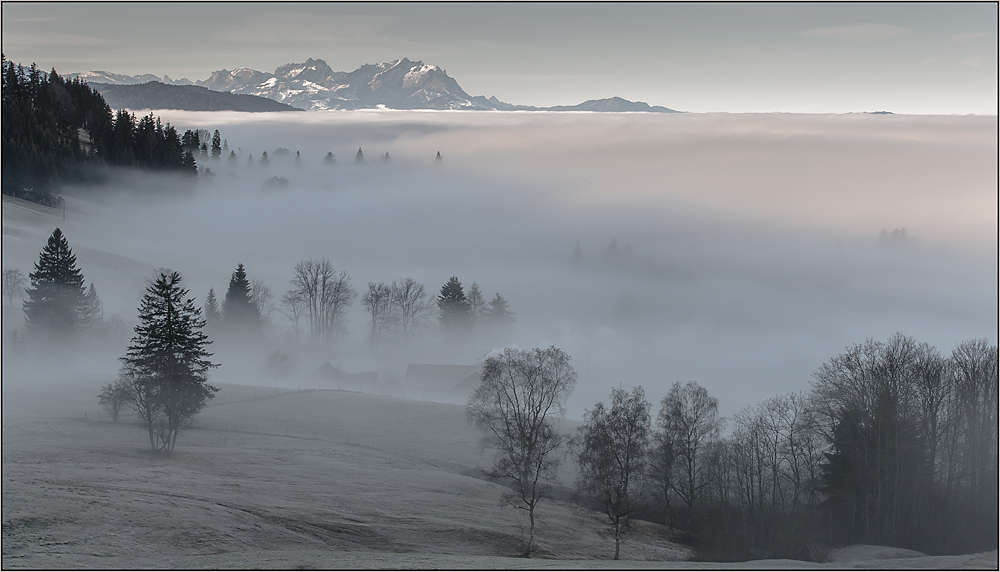 hartnäckiger hochnebel…