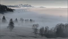 hartnäckiger hochnebel…