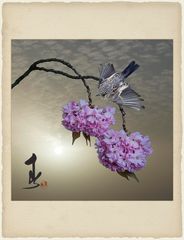 Haru / Frühling