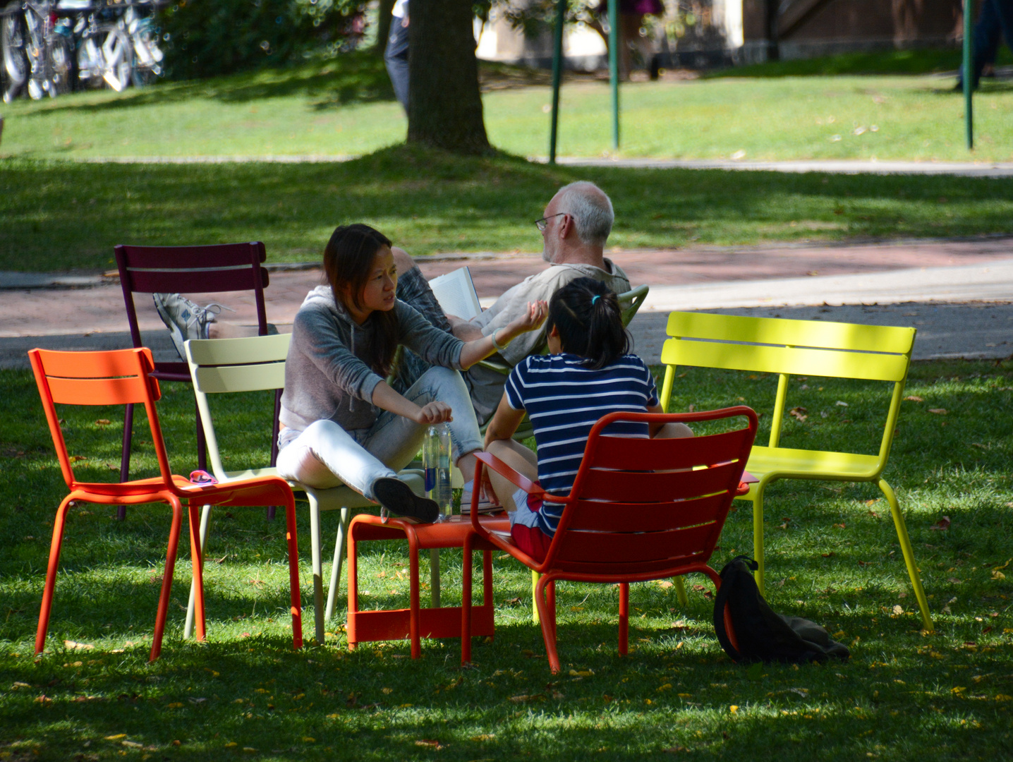 Harvard Campus II