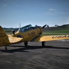 Harvard T-6