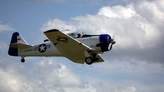 Harvard T 6 D-FUKK