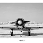 Harvard T6