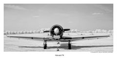 Harvard T6