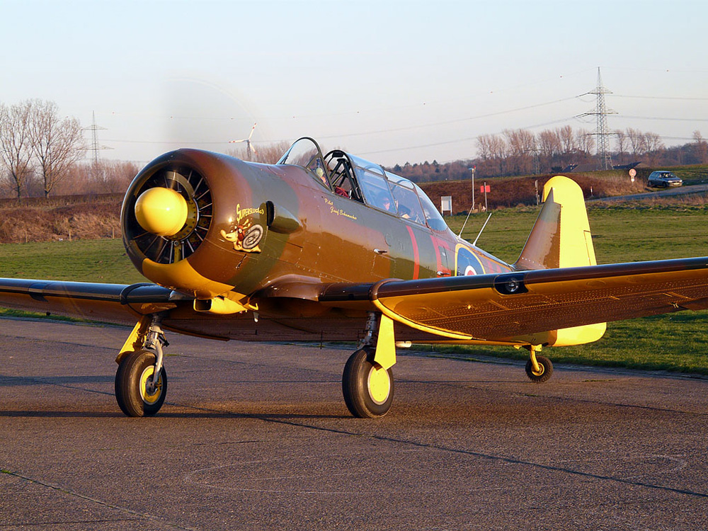 Harvard T6 D-FAME von Josef Schumacher